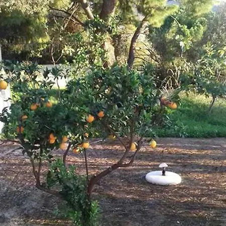 Belle Helen, In Western Peloponnese Near Kyparissia Yiannitsokhorion